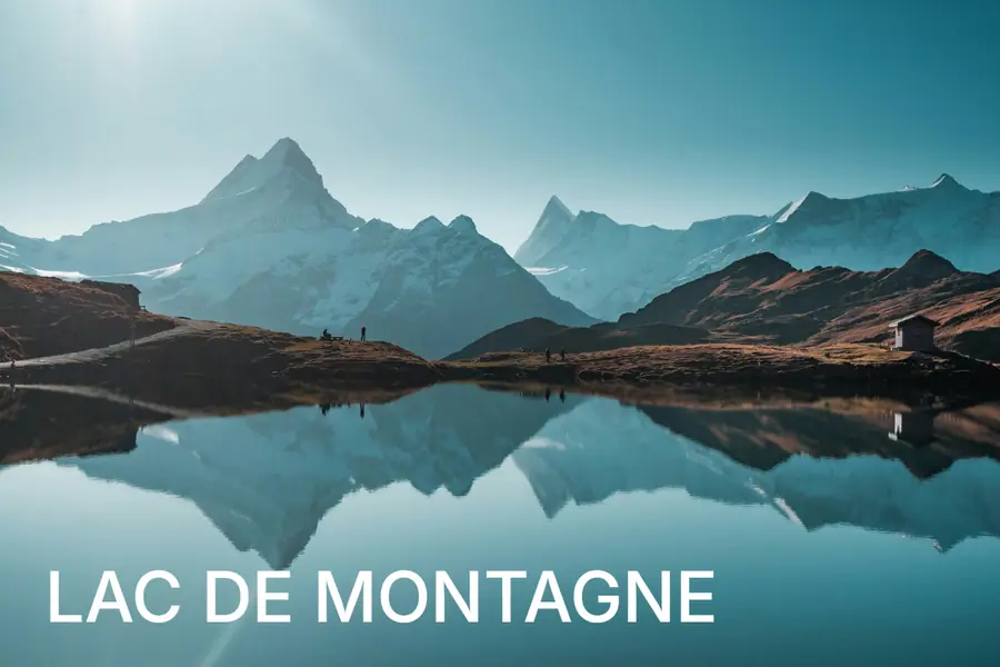 Effet Texte
